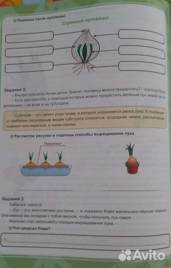 Тренажер Функциональная грамотность