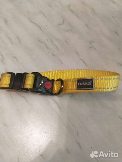 Одежда для собак