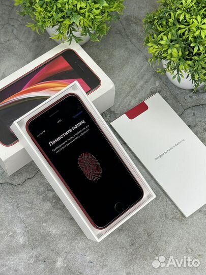 iPhone SE (2020), 64 ГБ