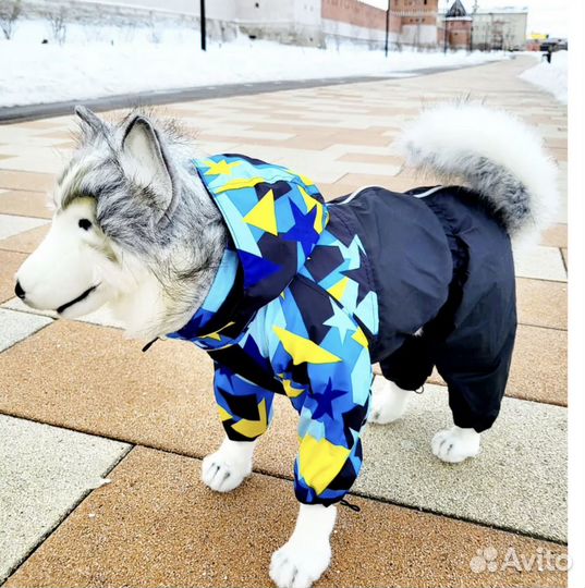 Комбинезон дождевик для средних собак