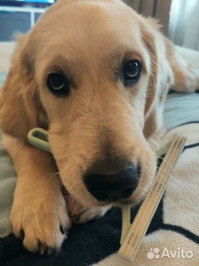 Щетка скребок для чистки одежды, мебели