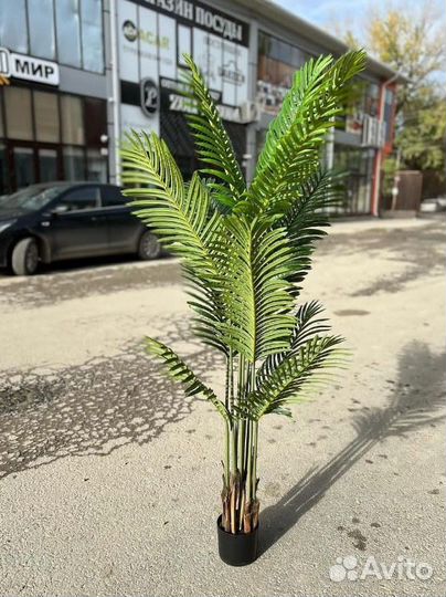 Цветы и деревья