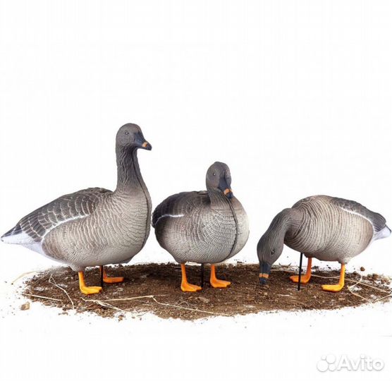 Чучела комплект гуменник 10шт G622-3D