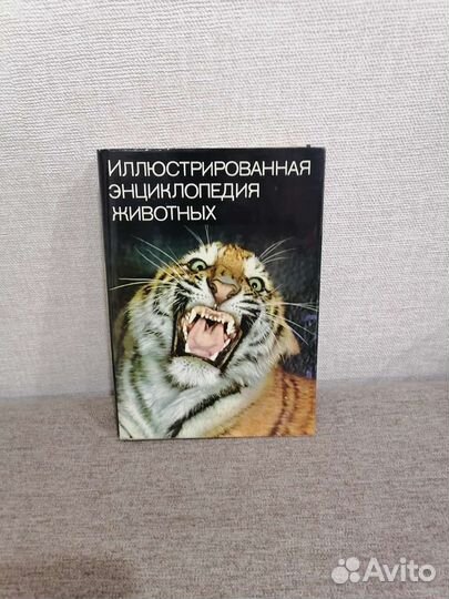 Энциклопедия