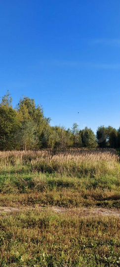 Участок 20 сот. (ИЖС)