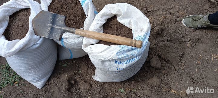 Черный чернозем Навоз коровий,камаз 15т,газель,зил