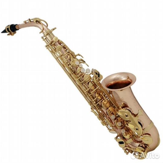 ROY benson AS-202G Eb, Альт-саксофон