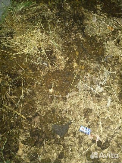 Навоз перегной конский