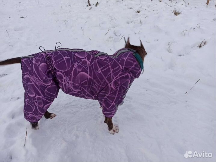 Зимний комбинезон для собак