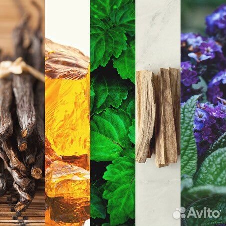 Bybozo immoral франция 75мл