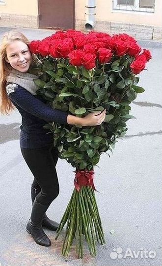 Розы Букеты Цветы Розы 31 101 151 201 Доставка