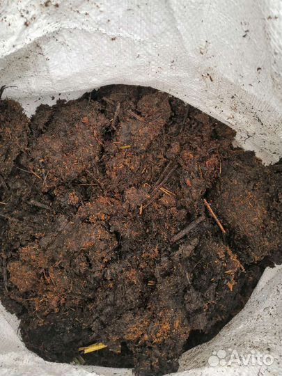 Конский навоз напрямую