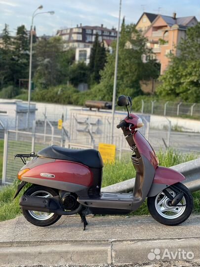 Honda Tact 51. Рассрочка