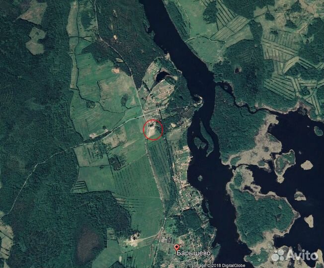 Животноводческая ферма (Эко туризм) продаю