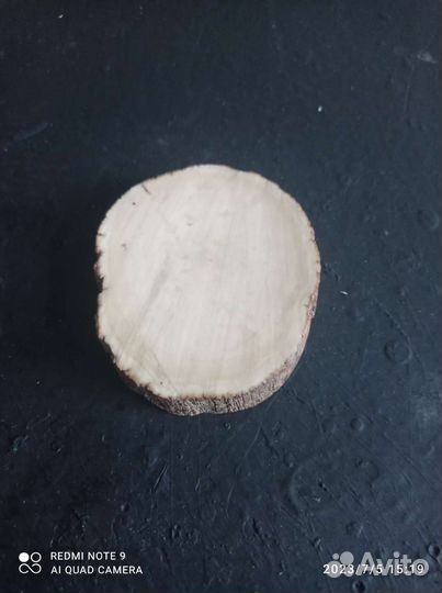 Срез бивня мамонта