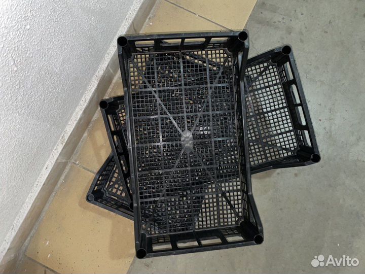 Ящик пластиковый для ягод фруктов строительный 5шт