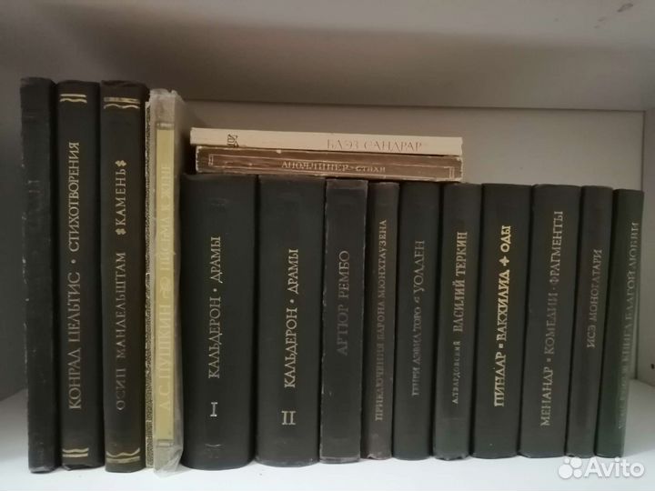 Серия «Литературные памятники»