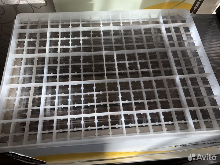 Лоток для перепелиных яиц