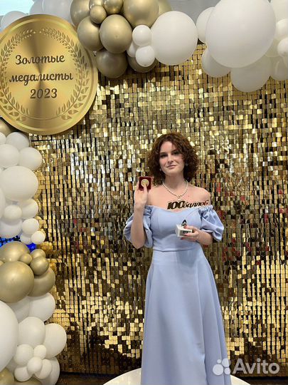 Репетитор по русскому языку и литературе 5-9 класс