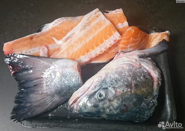 Свежая рыба