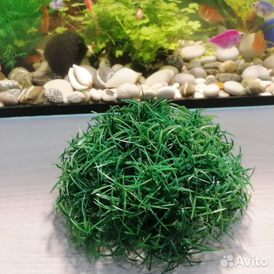 Аксессуары для аквариума:ракушки,грот,растения