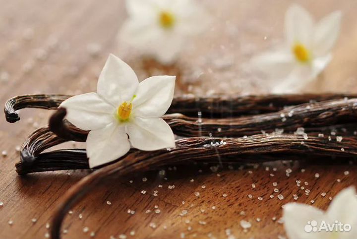 Подработка с ежедневной оплатой. Стикеровщик