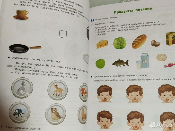 Большая книга по запуску речи Кононова