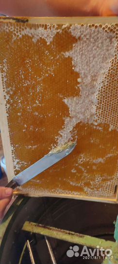 Сотовый мёд, мёд, забрус