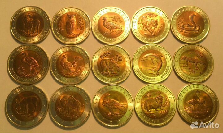 Красная Книга, Барселона, Молодая Россия, Мерв