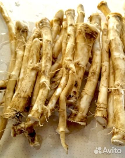 Листья смородины, крапивы, мяты
