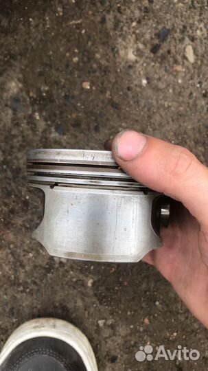 Поршня м62б46