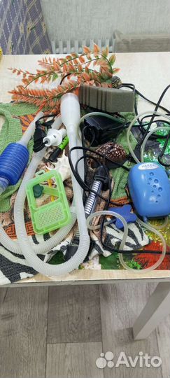 Аквариум со всем необходимым