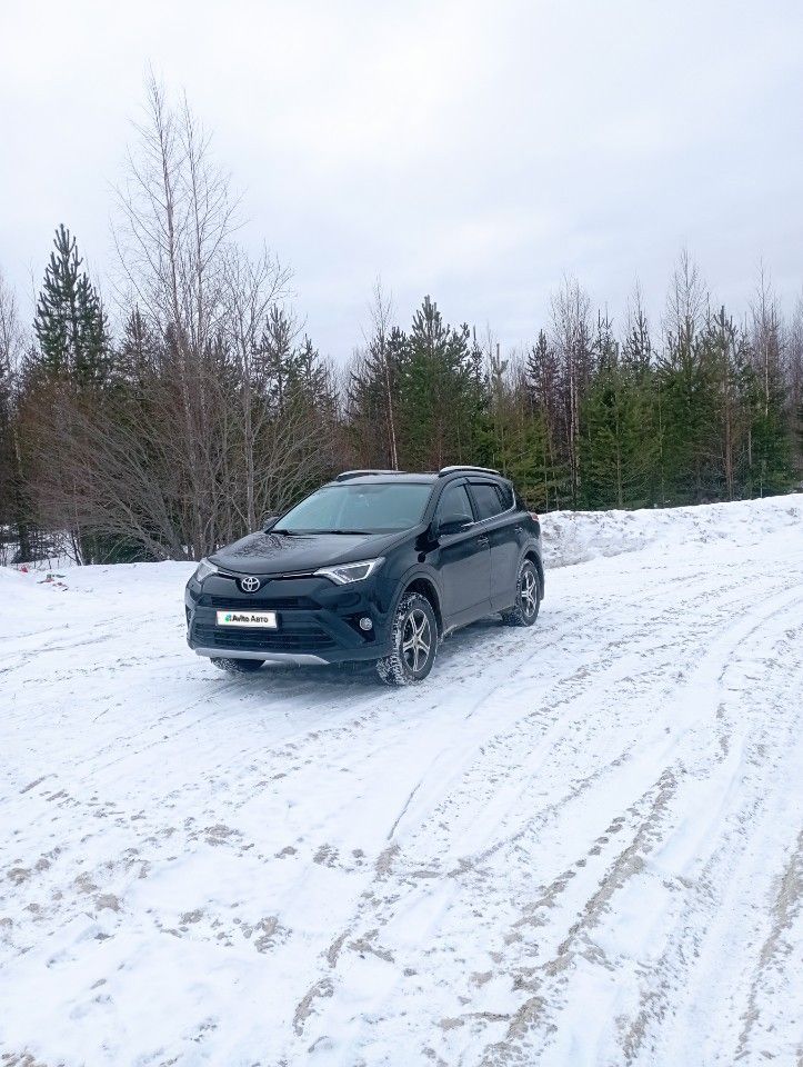 Toyota RAV4: фото владельца