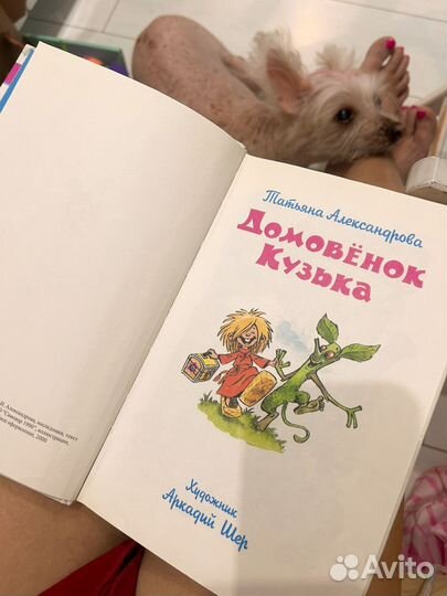 Домовенок кузя книга