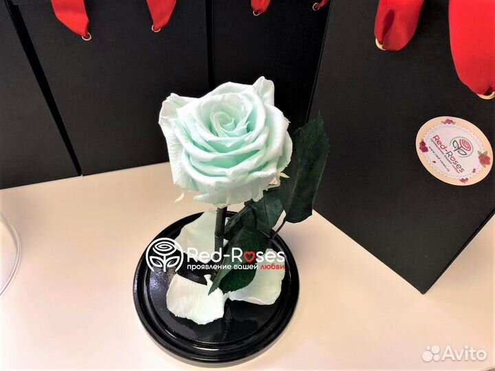 Роза в колбе Кинг Сайз