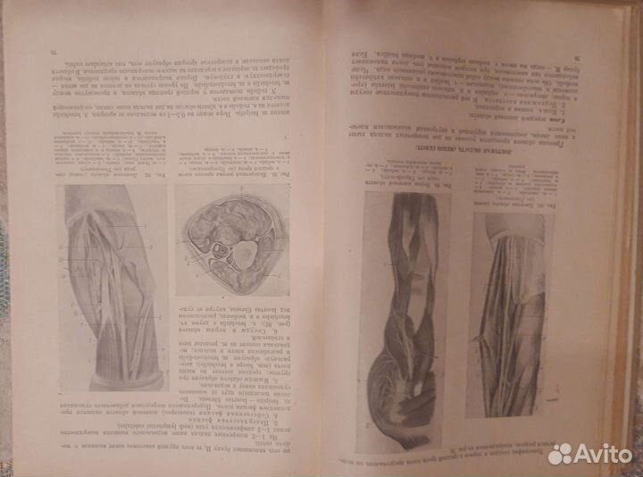 Краткий курс оперативной хирургии . 1947г
