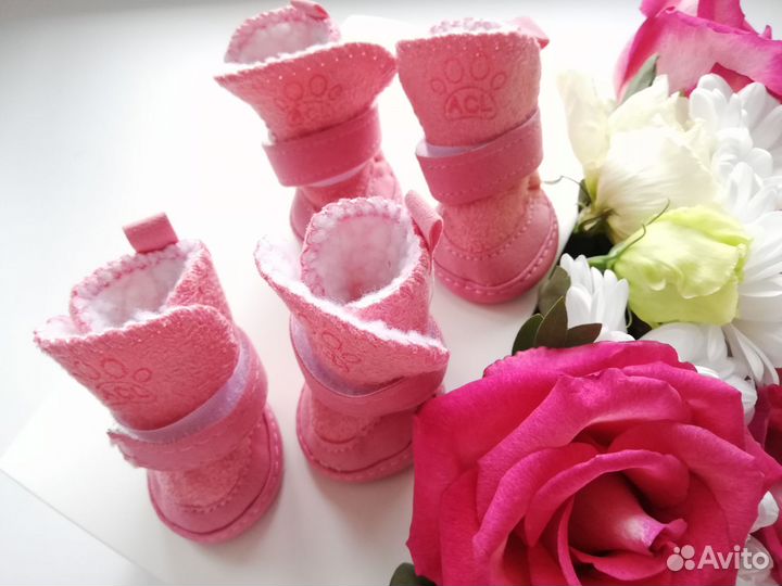 Обувь для собак