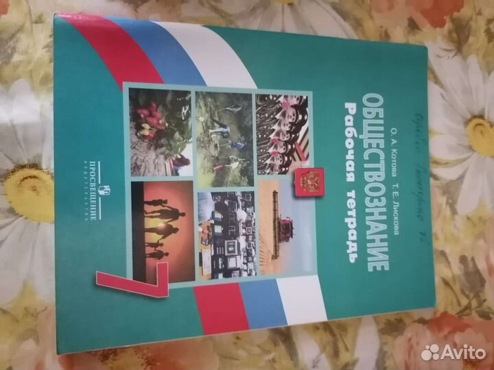 Учебники, рабочие тетради и тренажёры разные