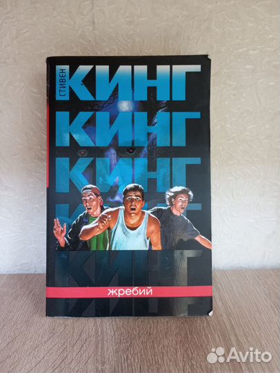 Стивен Кинг Жребий