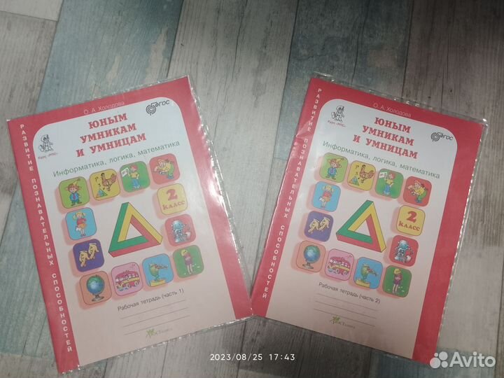 Рабочая тетрадь юным умникам и умницам 2 класс