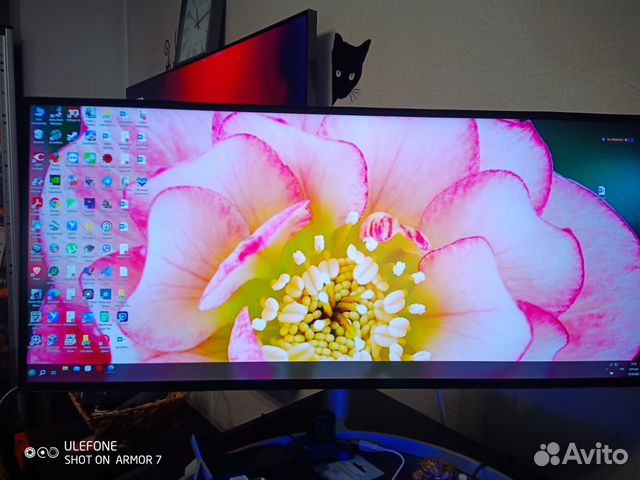 5К Монитор LG 34WK95U IPS Thunderbolt купить в Москве | Электроника | Авито