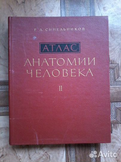 Атлас анатомии человека синельников 1973