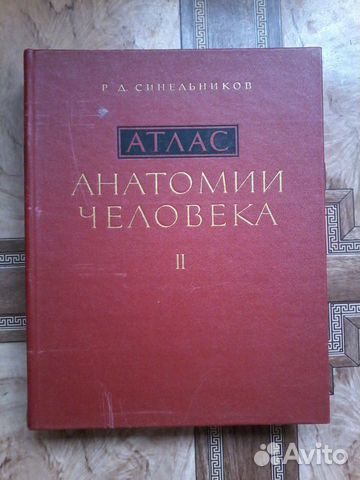 Атлас анатомии человека синельников 1973