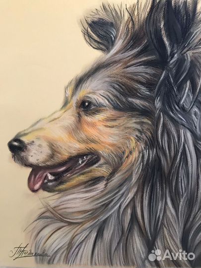 Нарисую портрет вашего домашнего любимца