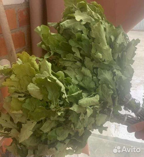 Дубовые веники, штука 90, июнь 2023г