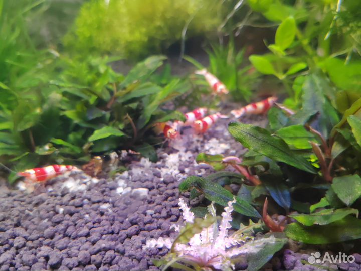 Украшение для аквариума