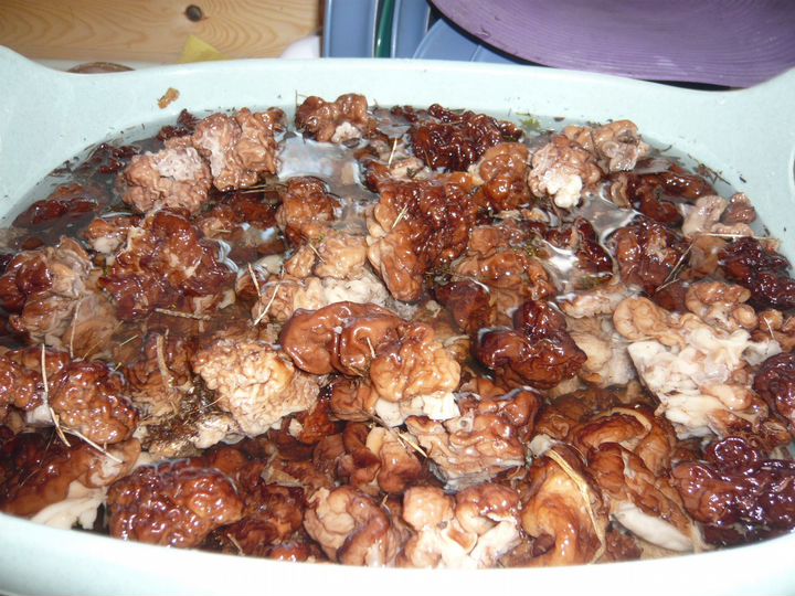 Дом 267 м² на участке 10 га