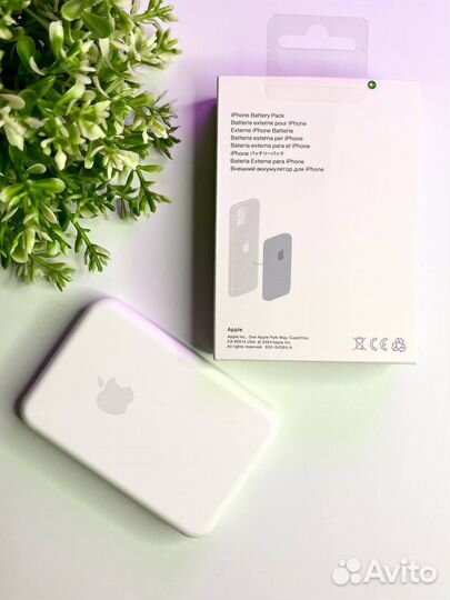 Apple battery pack type-C