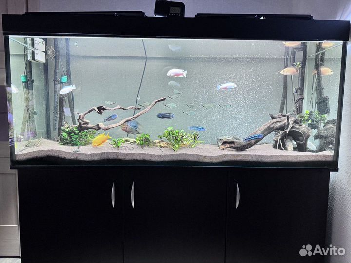 Аквариум с тумбой 450л