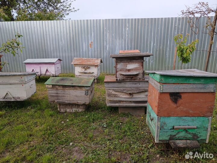 Улий для пчел